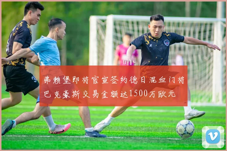 弗赖堡即将官宣签约德日混血门将巴克豪斯交易金额达1500万欧元