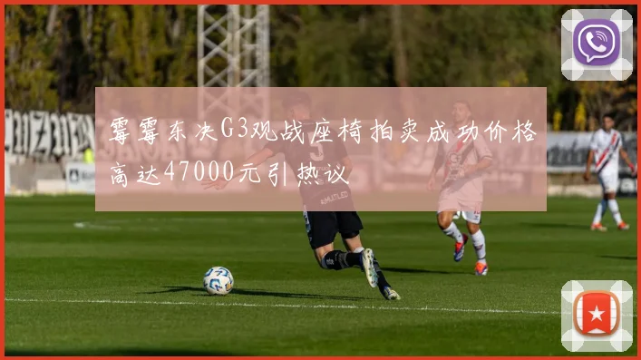 霉霉东决G3观战座椅拍卖成功价格高达47000元引热议